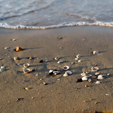 Relaxing In A Area - Beahost Bibione